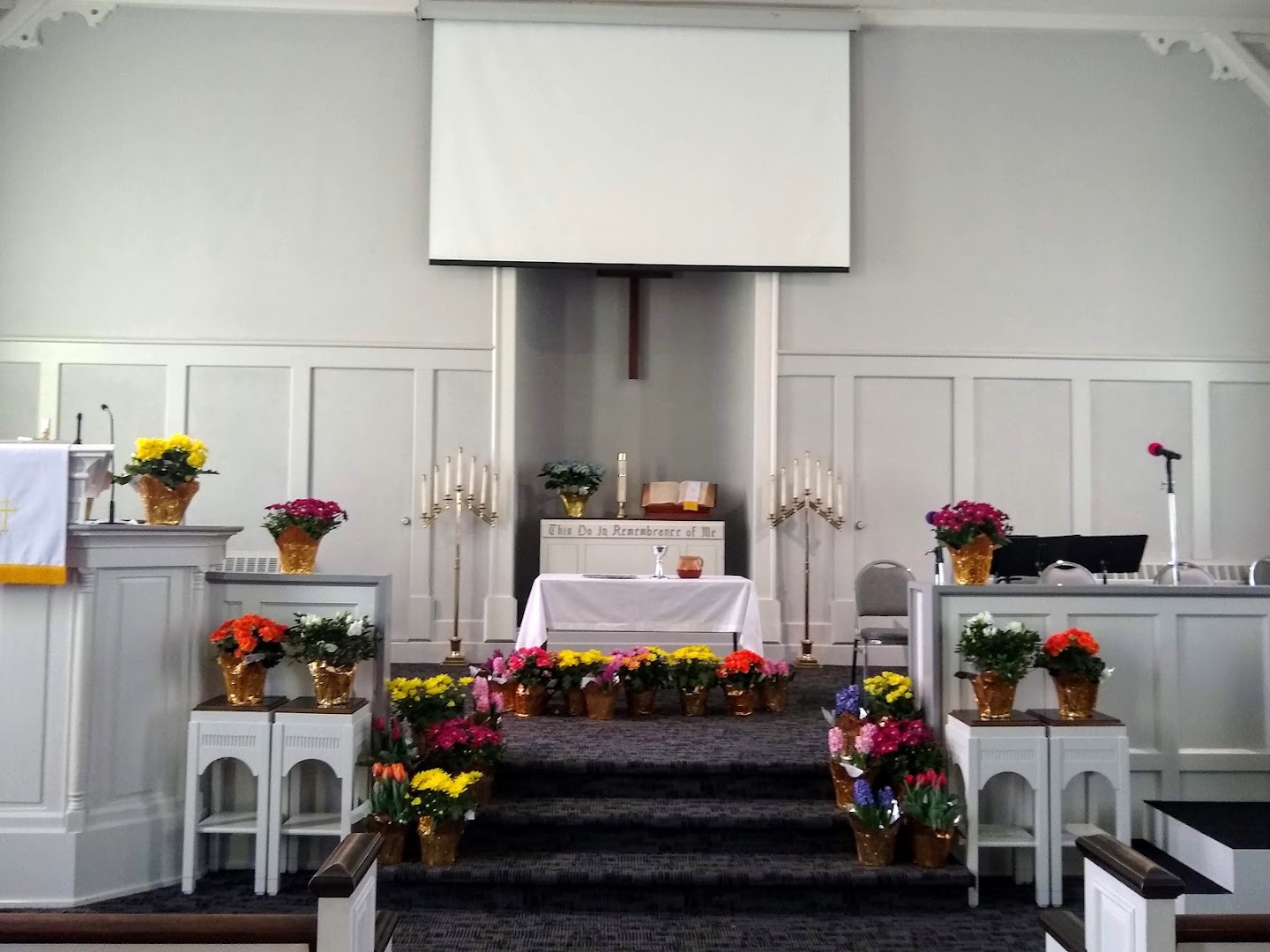 6fcb3c619d8945cfaffdee4844aba874-1.jpg