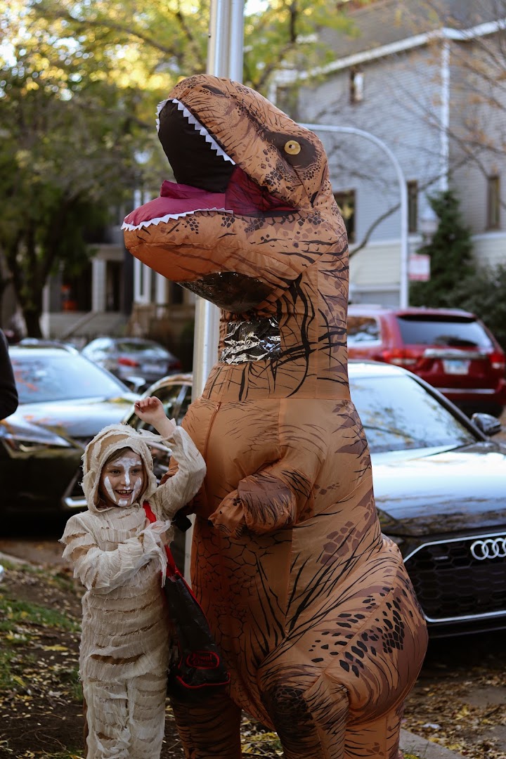 d5061c1abae74a3d917255d2495b9de7-1.jpg